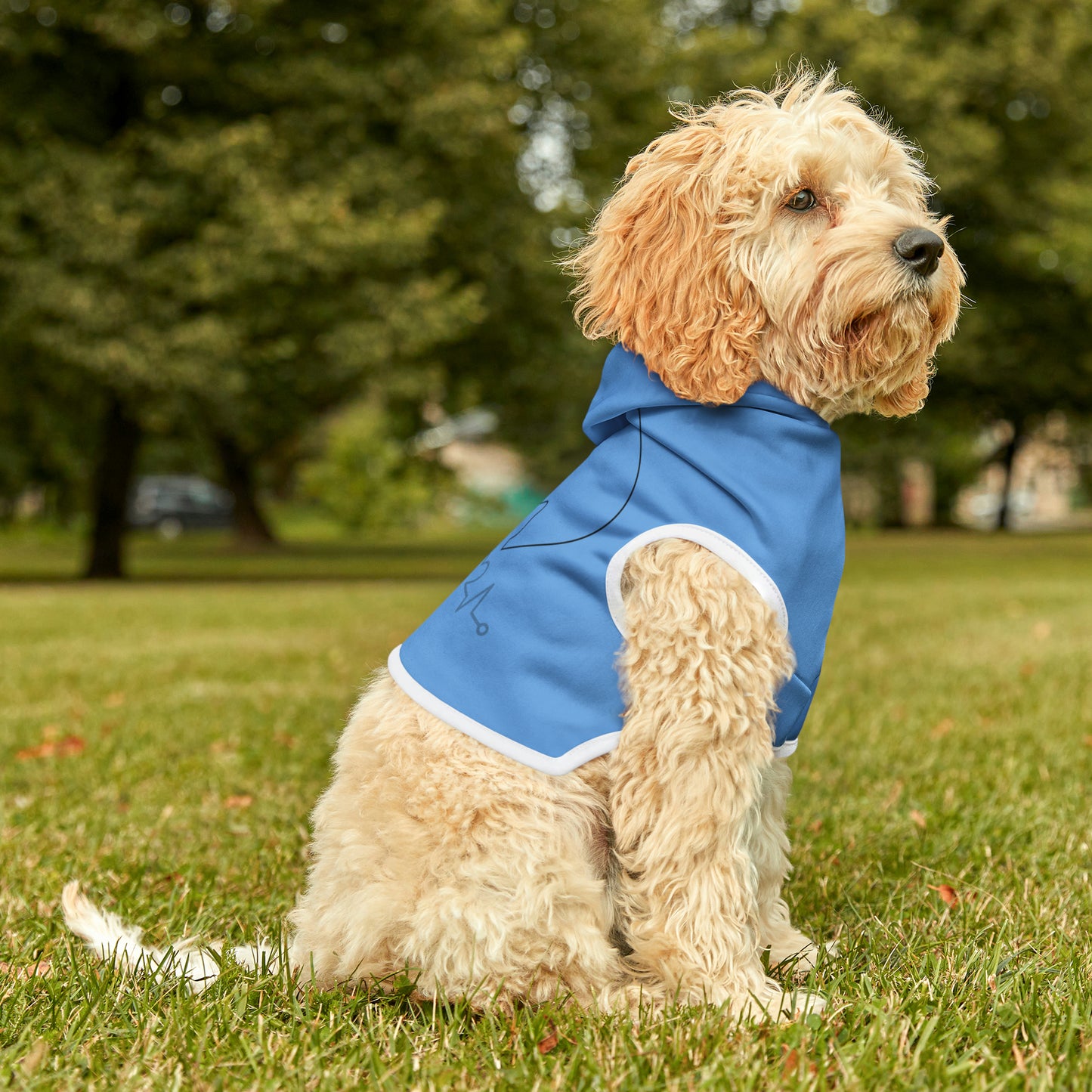 Cat Dog Hoodie