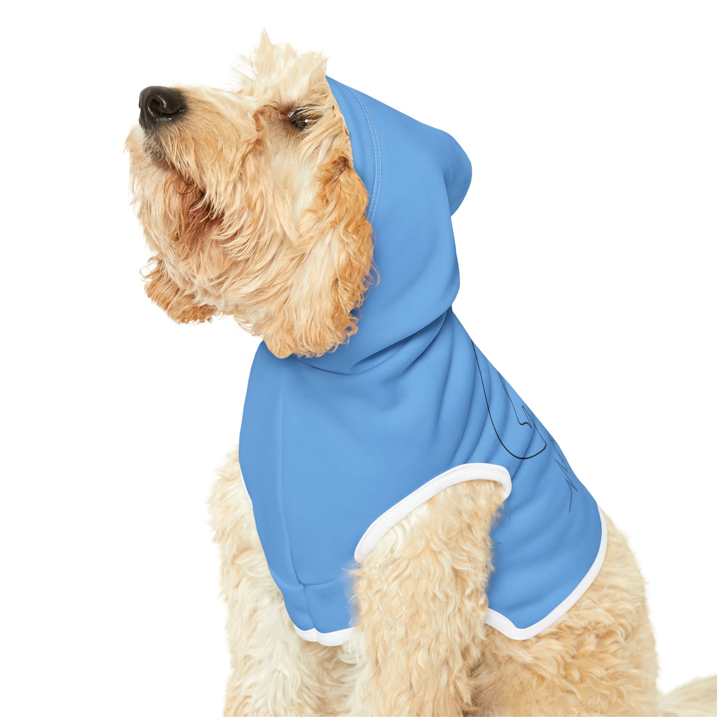 Cat Dog Hoodie