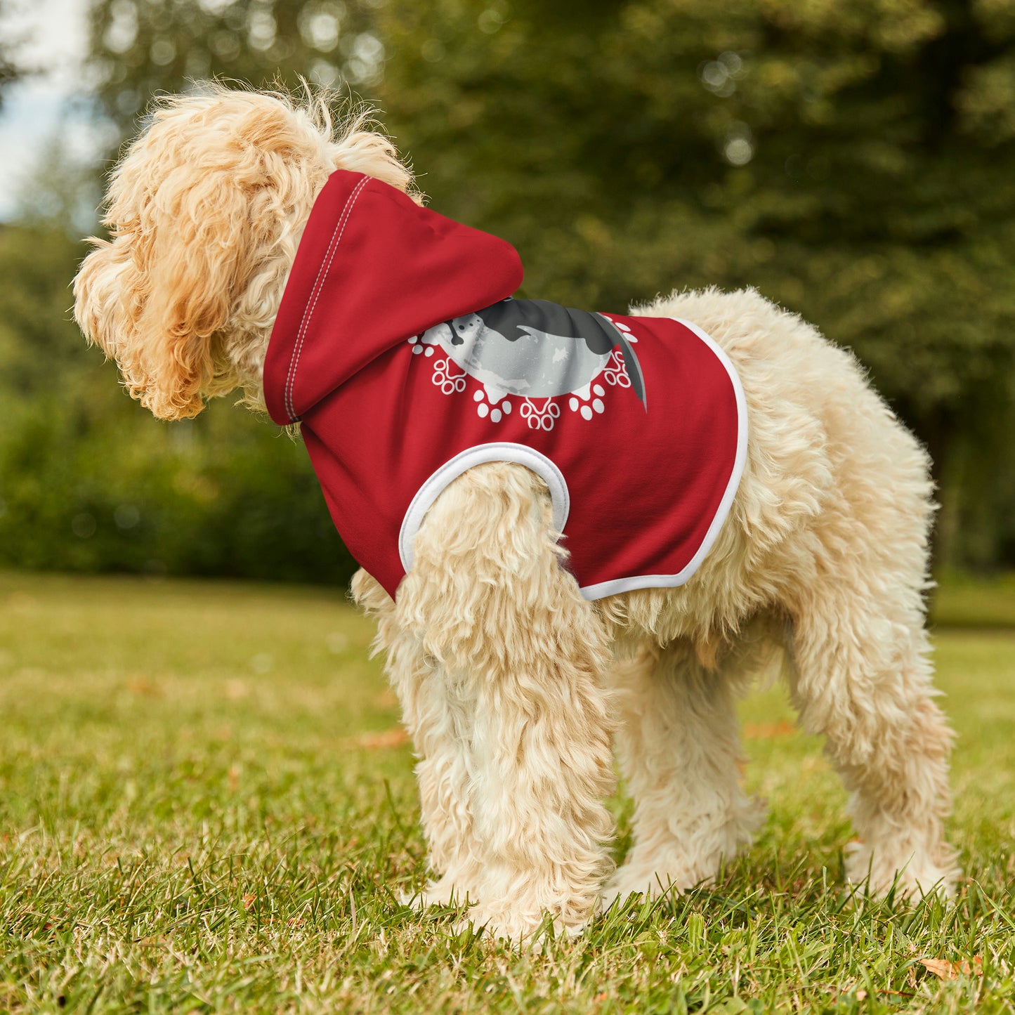 Pet Hoodie