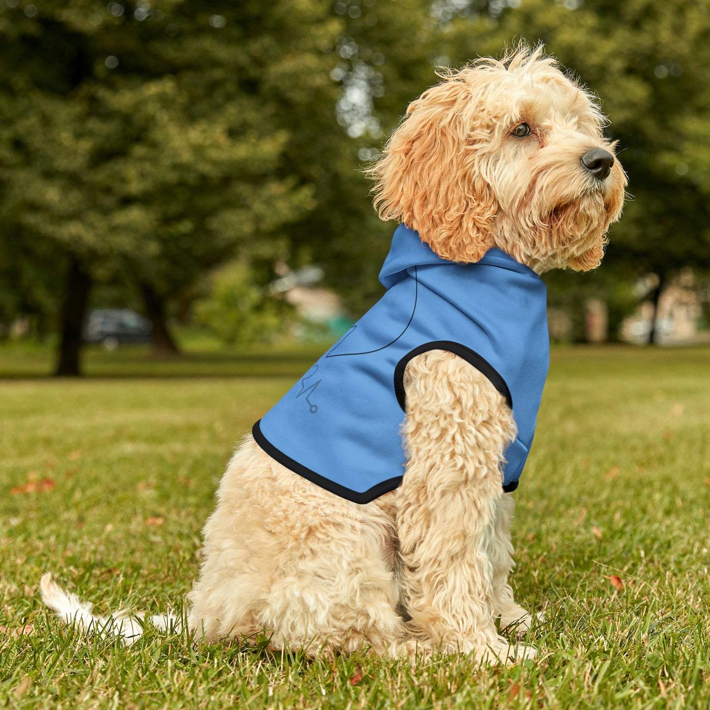 Cat Dog Hoodie