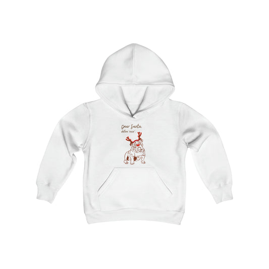 Dear Santa Youth Hooded Sweatshirt