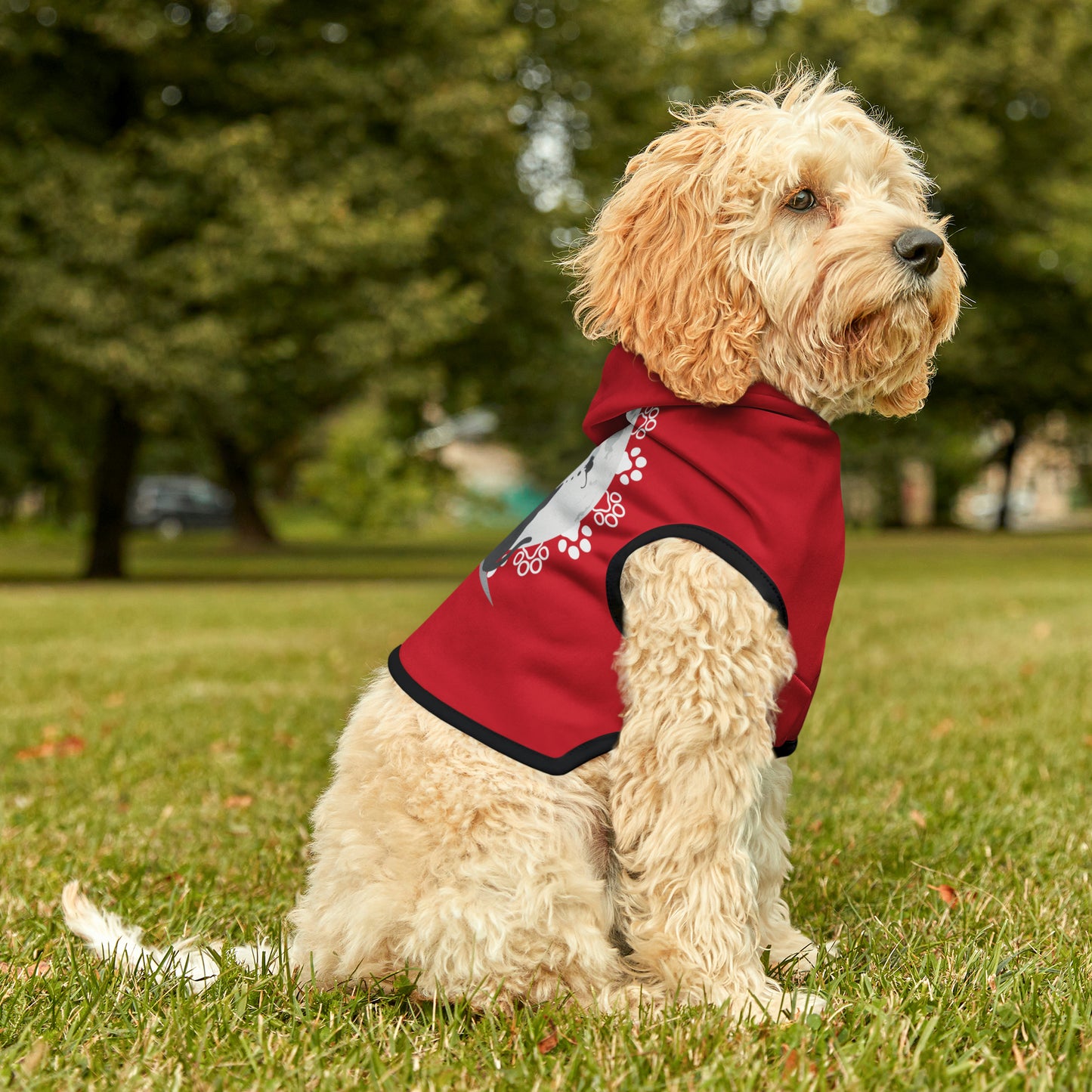 Pet Hoodie