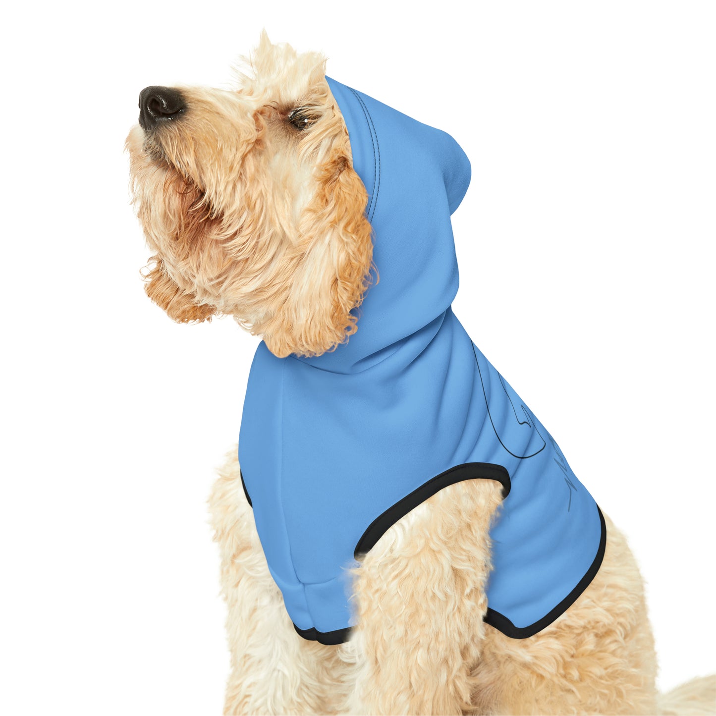 Cat Dog Hoodie