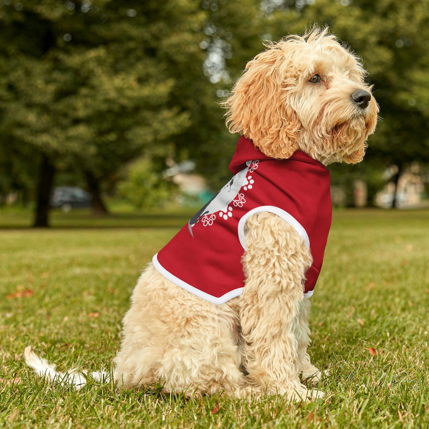 Pet Hoodie