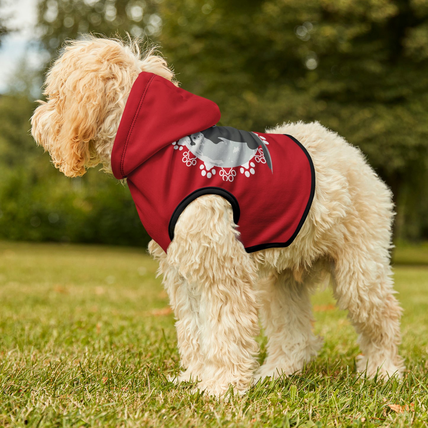 Pet Hoodie